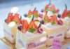 【東京自由之丘必嚐4家甜品店】日本美食指南！