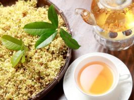【桂花茶你喝過嗎？】推薦三款桂花茶品牌!