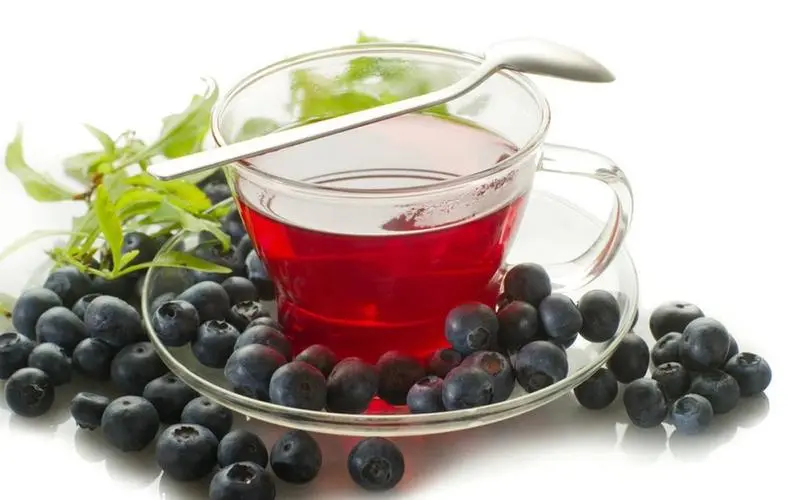 藍莓自製茶，人氣藍莓茶自製方法大公開!