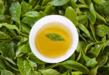 綠茶中的兒茶素有什麼功效，你都瞭解了嗎？