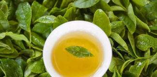 綠茶中的兒茶素有什麼功效，你都瞭解了嗎？