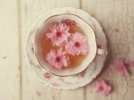 你想瞭解的櫻花茶，這裏全到有了